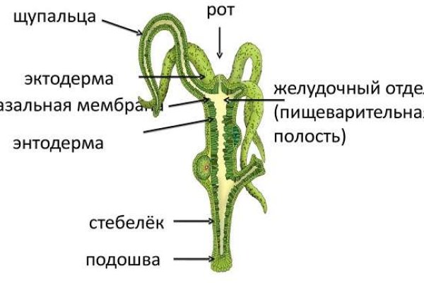 Как восстановить кракен